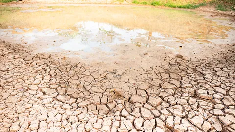 ชาวบ้านร้องมา หมู่ 12 ต.ชุมพวง แล้งหนัก สระน้ำสาธารณะแห้งขอด วอนหน่วยงานช่วยด้วย