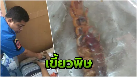 สาวใหญ่ตะขาบกัดไปหาหมอ บ่นปวดมาก รุ่งเช้ากลายเป็นศพคาห้อง