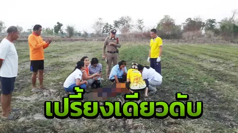 ฟ้าผ่าลุงวัย61 ขณะไปถอนหลักวัวกลางทุ่งนาดับสยอง วัววิ่งกระเจิง