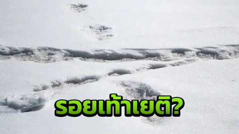 ชาวเน็ตล้อกระจาย กองทัพอินเดียโพสต์ภาพอ้างเป็นรอยเท้า “เยติ”