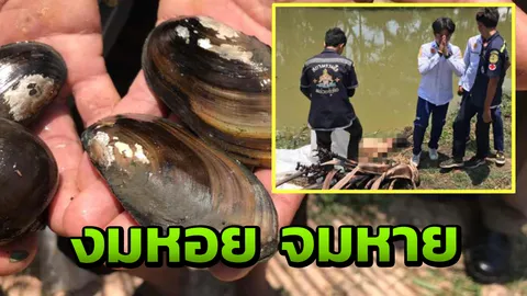 ผวาอาถรรพณ์ หนุ่มใหญ่งมหอยจมหาย กลายเป็นร่างไร้วิญญาณ