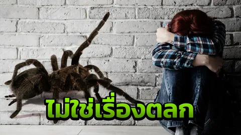 พี่ชายฉุน น้องเป็นโรคกลัวแมงมุม ถูกเพื่อนส่งคลิปแกล้ง อาการกำเริบชักเกร็ง