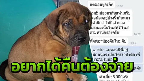 สาวประกาศหา “บูลลี่” หายนานนับเดือน คนอุ้มไปทักมาขอค่าเลี้ยงดู 5,000