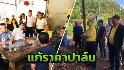 "พลังประชารัฐ" จ่อชงแนวทาง รบ.เร่งกู้วิกฤติราคาปาล์ม ตั้งเป้า กก.3 บาท