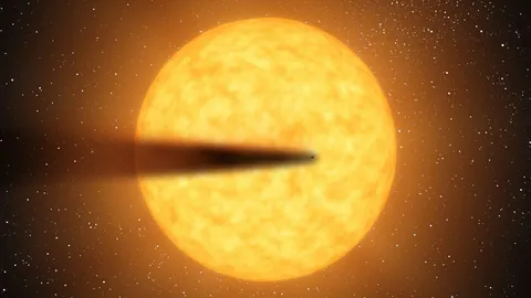 เศษจากดาวหาง...คือฝนดาวบนฟากฟ้า