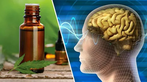 ความปลอดภัยในความอันตรายของกัญชา