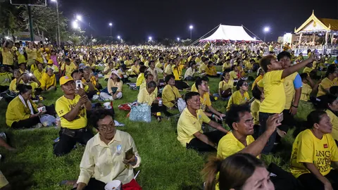 ชมแสดงโดรน