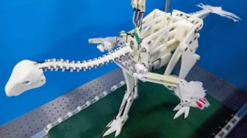 ศึกษาต้นกำเนิด การบินของไดโนเสาร์มีปีก