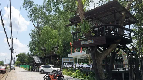 “ร้านกาแฟบนต้นไม้” ฝีมือผู้ต้องขังใกล้พ้นโทษ