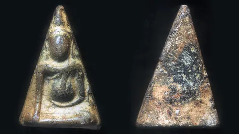 นางพญาเนื้อผ่าน?