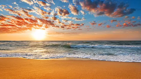 I am completely a sea.