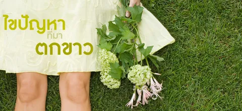 ไขปัญหา ที่มา ตกขาว