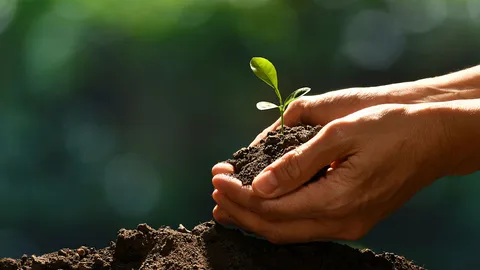 กรมป่าไม้ ชวนปลูกต้นไม้ประจำปีวันวิสาขบูชา