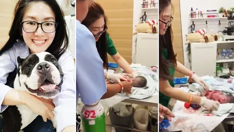 สุดยอดคลิปแห่งปี สัตวแพทย์ ช่วยทารกแรกคลอด จากตัวม่วง นิ่ง จนส่งเสียงดังลั่น