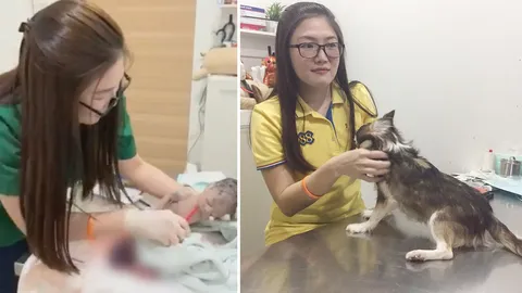 เด็กออกมาแล้ว ควรมีชีวิตต่อ เปิดใจ "หมอมน" สัตวแพทย์ช่วยทารกรอดตาย 