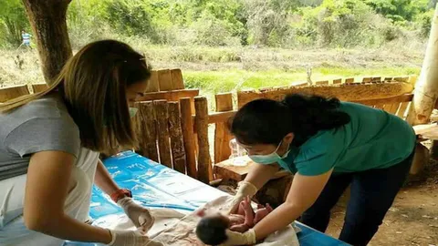 พบทารกแรกเกิด เพศชาย ถูกทิ้งไว้ในกระท่อมกลางสวนยาง ท้ายหมู่บ้าน จ.เลย 