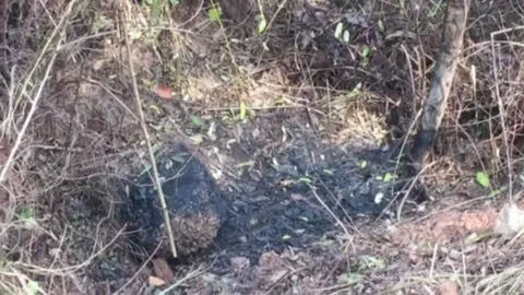 ญาติสาว18 ที่ถูกเผาพร้อม จยย.คาใจ หลานตายมีพิรุธ เครื่องในศพหาย