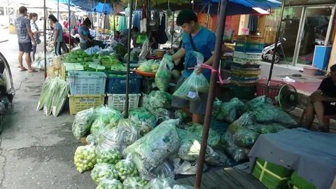 ที่ไหนขายแพง ตลาดเมืองอ่างทอง ราคาผักสดถูก คาดปรับตัวลดลงต่อเนื่อง