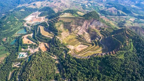 เตรียมสร้างสวน