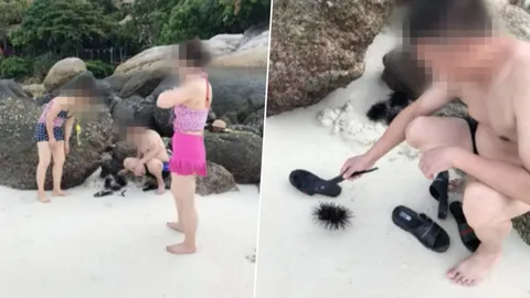 นักท่องเที่ยวจีนแจงดราม่าทุบหอยเม่นเกาะหลีเป๊ะ หวังดีคีบไปปล่อยทะเล