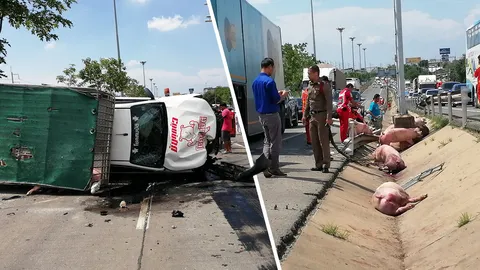 รถขนหมูยางแตก เทกระจาด ตาย4 เจ็บนับสิบ ต้องขอน้ำผู้ใช้ทางราดคลายร้อน