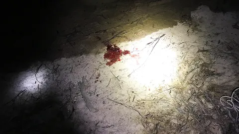 ยิงถล่มขาใหญ่ชะอวด มีคดีอาวุธ ยาบ้า ตร.คาดขัดแย้งอริ ธุรกิจบางอย่าง