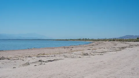 We are not regularly introduced.