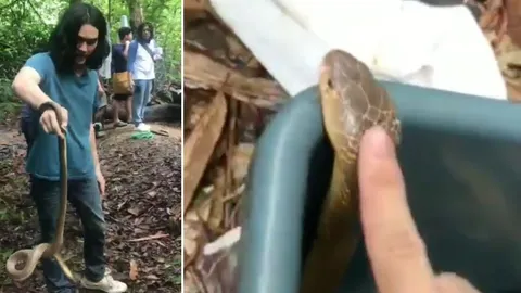 ชาวเน็ตถาม แน็ก ชาลี เคยกลัวสัตว์อะไรบ้างไหม หลังใช้มือเปล่าจับงูเห่า (คลิป)