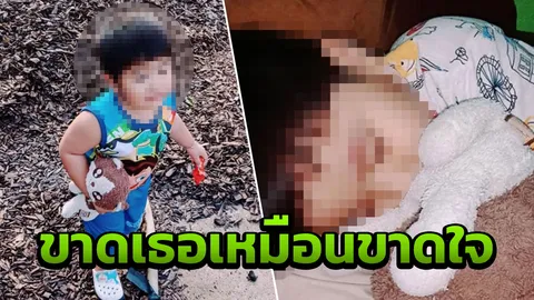วอนช่วยตามหา ตุ๊กตาแมว เด็ก 2 ขวบทำหาย พ่อบอกร้องหา จนไม่ยอมนอน