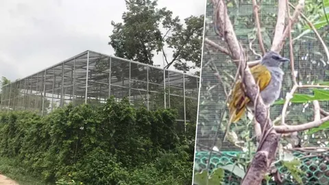 จับสาว สร้างกรงใหญ่ไว้ในบ้าน เลี้ยงนก “สัตว์ป่าคุ้มครอง” 13 ชนิด 