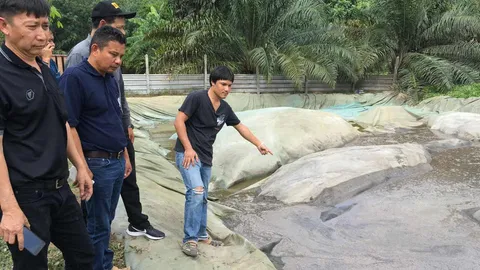 เตรียมล้อมคอก"บ่อขี้หมู"ต้นเหตุก๊าซพิษ คร่าชีวิต 3 พ่อลูก 