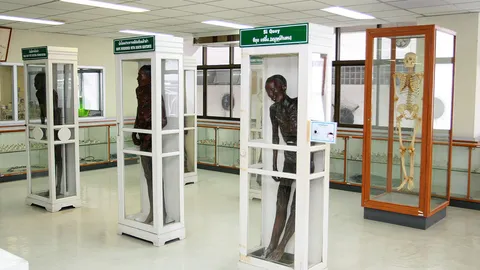 เก็บวิญญาณร่าง “ซีอุย” ไม่ใช่จองจำแต่นำความรู้