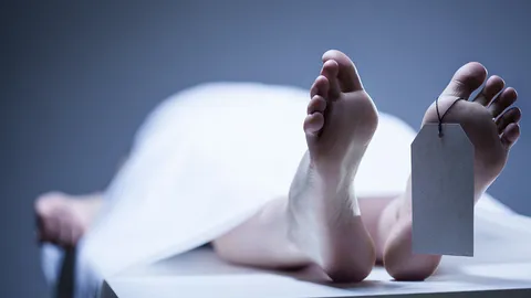 คุณเก็บความลับเก่งไหม มีงานดี เงินเด่น ให้ประกันสังคม แต่ต้องไม่กลัวผี