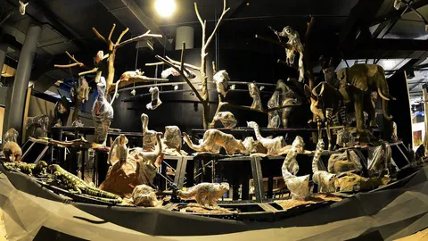 เปิด “พิพิธภัณฑ์พระรามเก้า” 15 มิ.ย.นี้