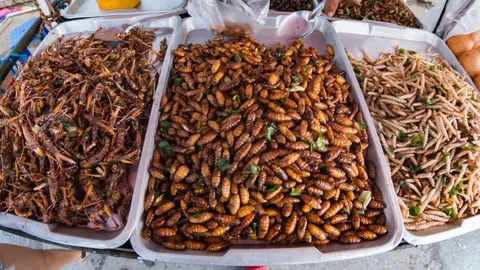 คนมะกันแห่กินโปรตีนจากแมลง ชี้เป็นโอกาสคนไทยเพาะเลี้ยงทำตลาดส่งออก!