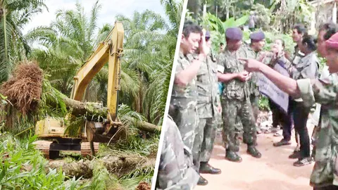  รอง ผวจ.กระบี่ ลุยถอน "ต้นปาล์ม" หมดสัมปทาน โดนวางเรือใบ หวิดปะทะ
