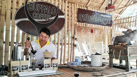 "กาแฟขี้ควาย" สินค้าชุมชนโอทอป