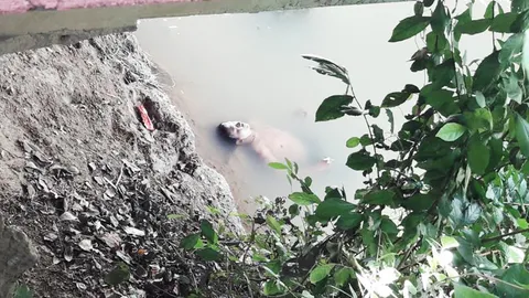 พบหนุ่มหน้าขาวนอนนิ่งลอยน้ำ กู้ภัย ตร.ดึงขึ้นมาชันสูตร แต่ตื่นเฉยเลย