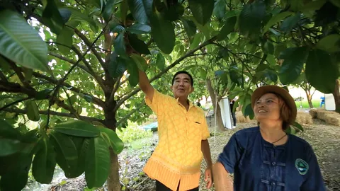 "เกษตรทฤษฎีใหม่" ลดต้นทุน ลดใช้ปุ๋ยเคมี สร้างรายได้อย่างยั่งยืน