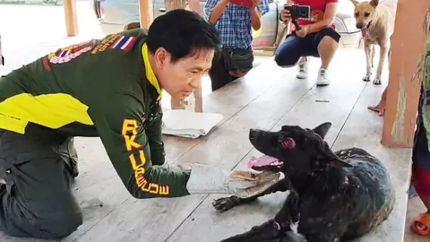 ไทด์ เอกพันธ์ นำทีมช่วยเจ้าดำ สุนัขตาบอดถูกทิ้งวัดที่สมุทรสาครไปรักษา
