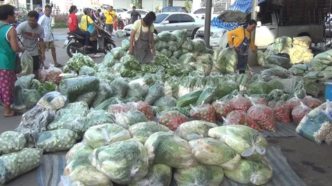 เงินเฟ้อเดือน มิ.ย.62 เพิ่ม 0.87%จากช่วงเดียวกันปีก่อน เหตุผักผลไม้แพง