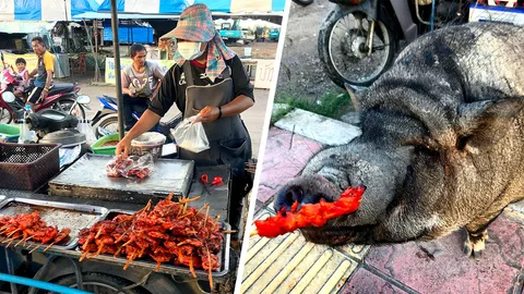 น่ารัก เจ้าบุญรอด ลูกค้าขาประจำไก่ย่างหัวหิน ไม่ซื้อ ขอกินทุกวัน 