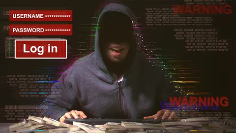 โจรออนไลน์แฮกข้อมูลส่วนตัว รีดเงิน