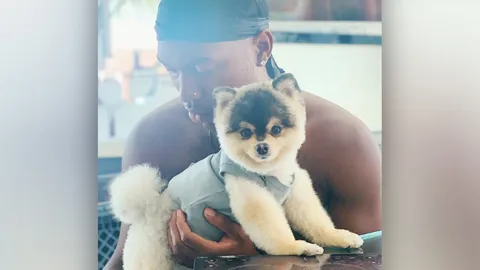 ใจจะขาด สุนัขตัวโปรดหาย “สเตอร์ริดจ์” พร้อมจ่าย 1 ล้านถ้าได้คืน