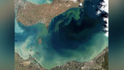 ผุดแผนช่วยโลกจากสภาพภูมิอากาศแปรปรวน