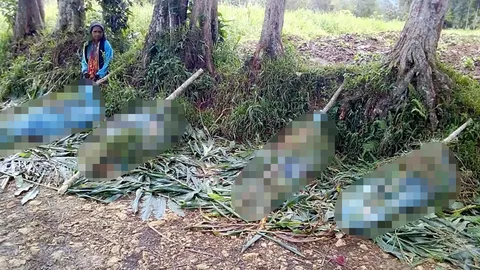 ปาปัวฯสังหารหมู่