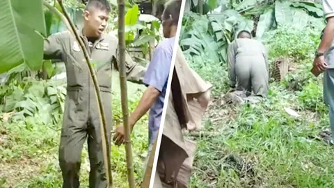 เผย"เครื่องดับ ชนต้นไม้" น.ต.ครูฝึกบินทอ.พลีชีพ ร.ท.ลูกศิษย์รอด