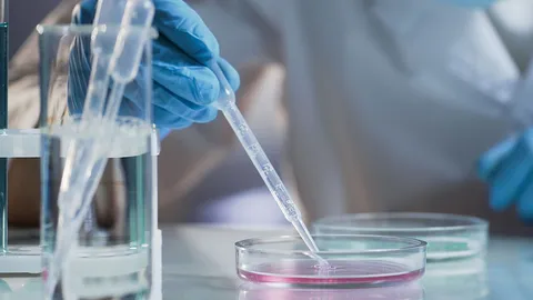 บีโอไอส่งเสริมลงทุน “วินเซลล์รีเซิร์ช” ผลิตเซลล์ภูมิคุ้มกันบำบัดผู้ป่วยมะเร็ง