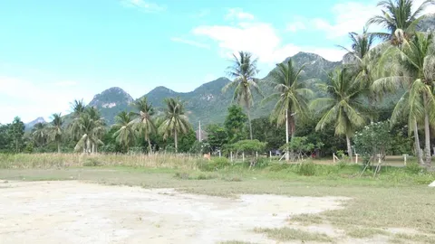 เปิด ทำเล "ที่ดินแม่แพรวา" 21 ไร่ ใกล้ทะเล 50 ล้าน แพงไปไหม