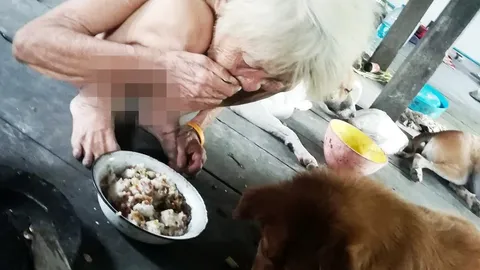 ยายวัย 78 อยู่ในบ้านผุพัง ไร้ญาติพี่น้อง แบ่งข้าวกับหมากินประทังชีวิต